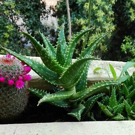 Ottiolu Mare Porto Ottiolu